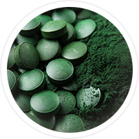 spirulina 2